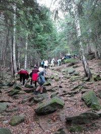 img 20180919 134837 (copy)